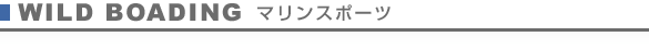 WILD BOADING �}�����X�|�[�c